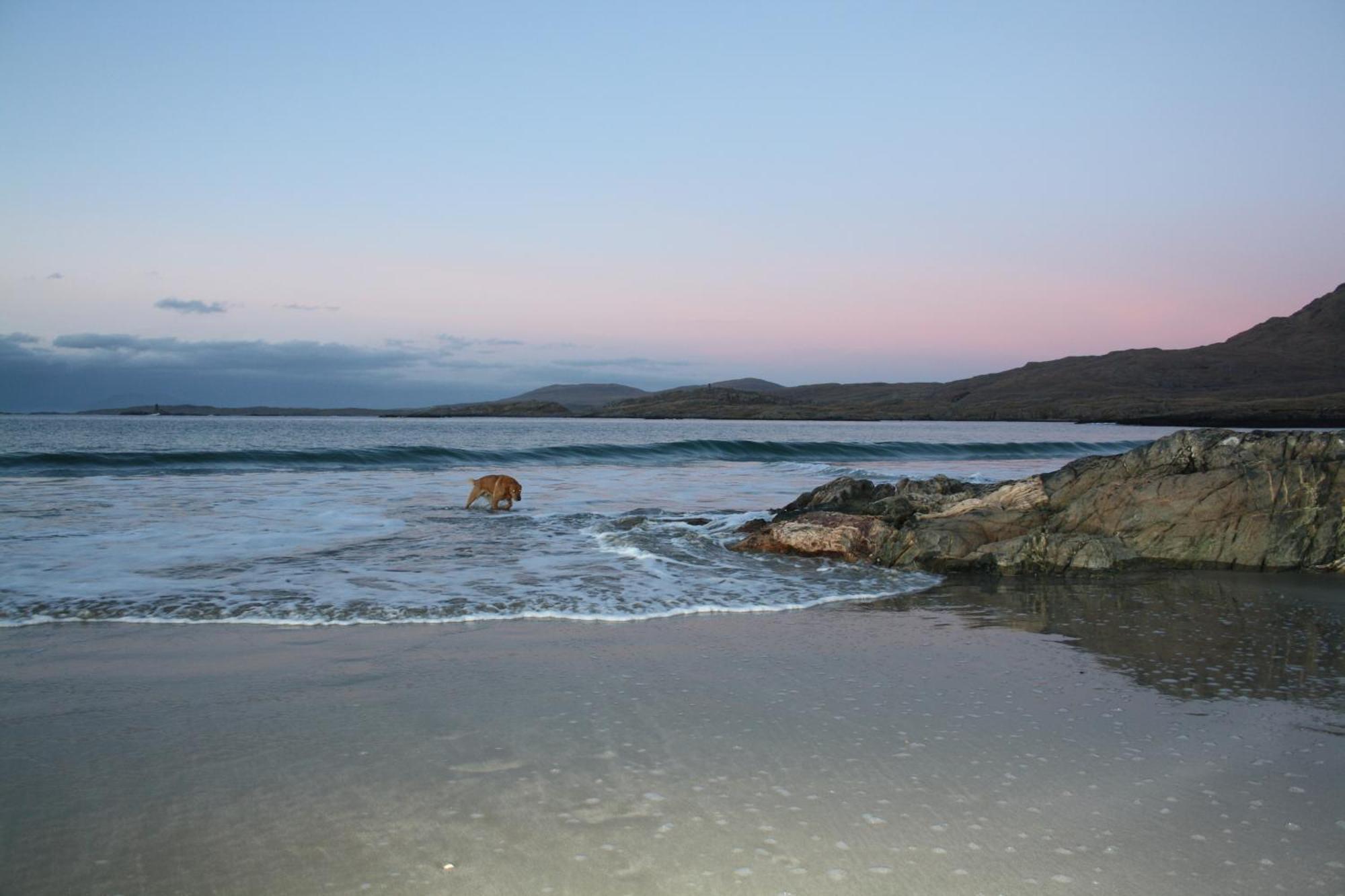 The Connemara Hostel - Sleepzone リーノーン エクステリア 写真